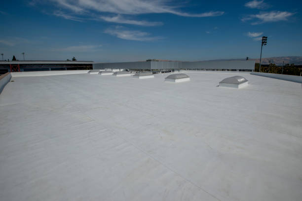Best Sheet Metal Roofing  in Pelican Bay, FL